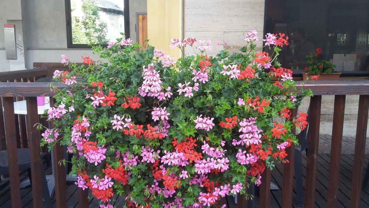 Albergo Ristorante Centro Vico Canavese Εξωτερικό φωτογραφία