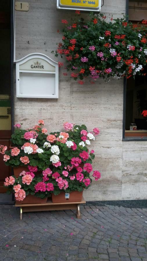 Albergo Ristorante Centro Vico Canavese Εξωτερικό φωτογραφία